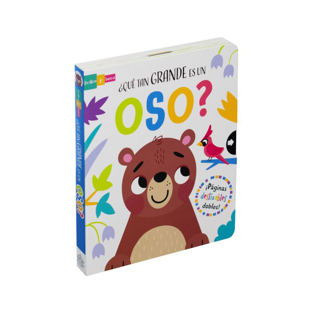 ¿Qué Tan Grande Es Un Oso?