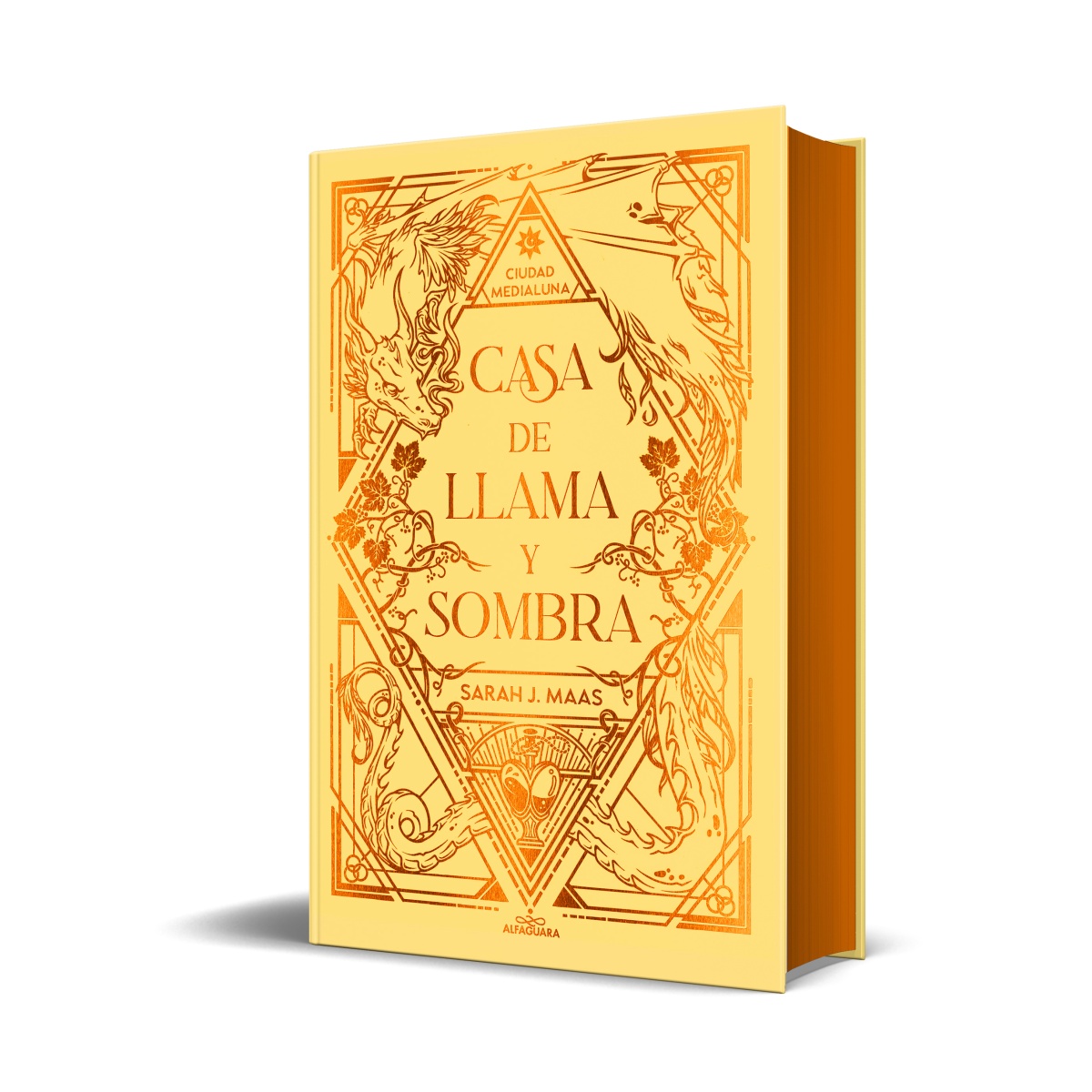 Casa de flama y sombra / Ciudad medialuna / vol. 3 / pd. (Edición especial limitada)